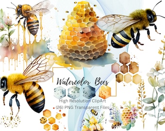 Floral Spring Honey Bee Watercolor Bee PNG Spring Clipart Watercolor Bee Clipart Instant Download Bee Clipart