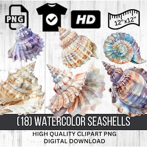 Elegant Watercolor Seashell Clipart Collection – Marine Life Illustrations, Seashell PNGs for Instant Download