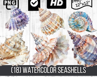 Elegante Aquarell-Muschel-Clipart-Sammlung – Meereslebewesen-Illustrationen, Muschel-PNGs zum sofortigen Download