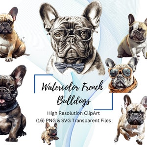 Aquarell Französische Bulldoggen SVG PNG Clipart Lustiger Hund SVG Bulldogge mit Brille Frenchie Frenchie Mama Sofortiger Download Hund svg
