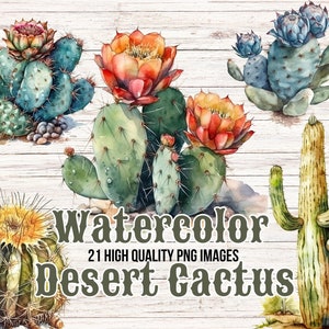 Imágenes prediseñadas de cactus de acuarela / Cactus PNG / Imágenes prediseñadas del desierto de acuarela / Cactus del desierto / PNG del desierto
