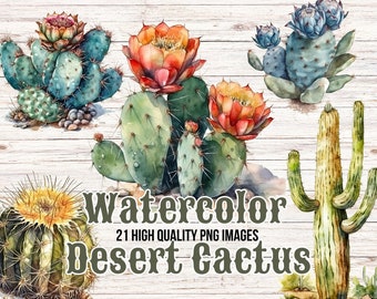 Watercolor Cactus Clipart | Cactus PNG | Watercolor Desert Clipart | Desert Cactus | Desert PNG
