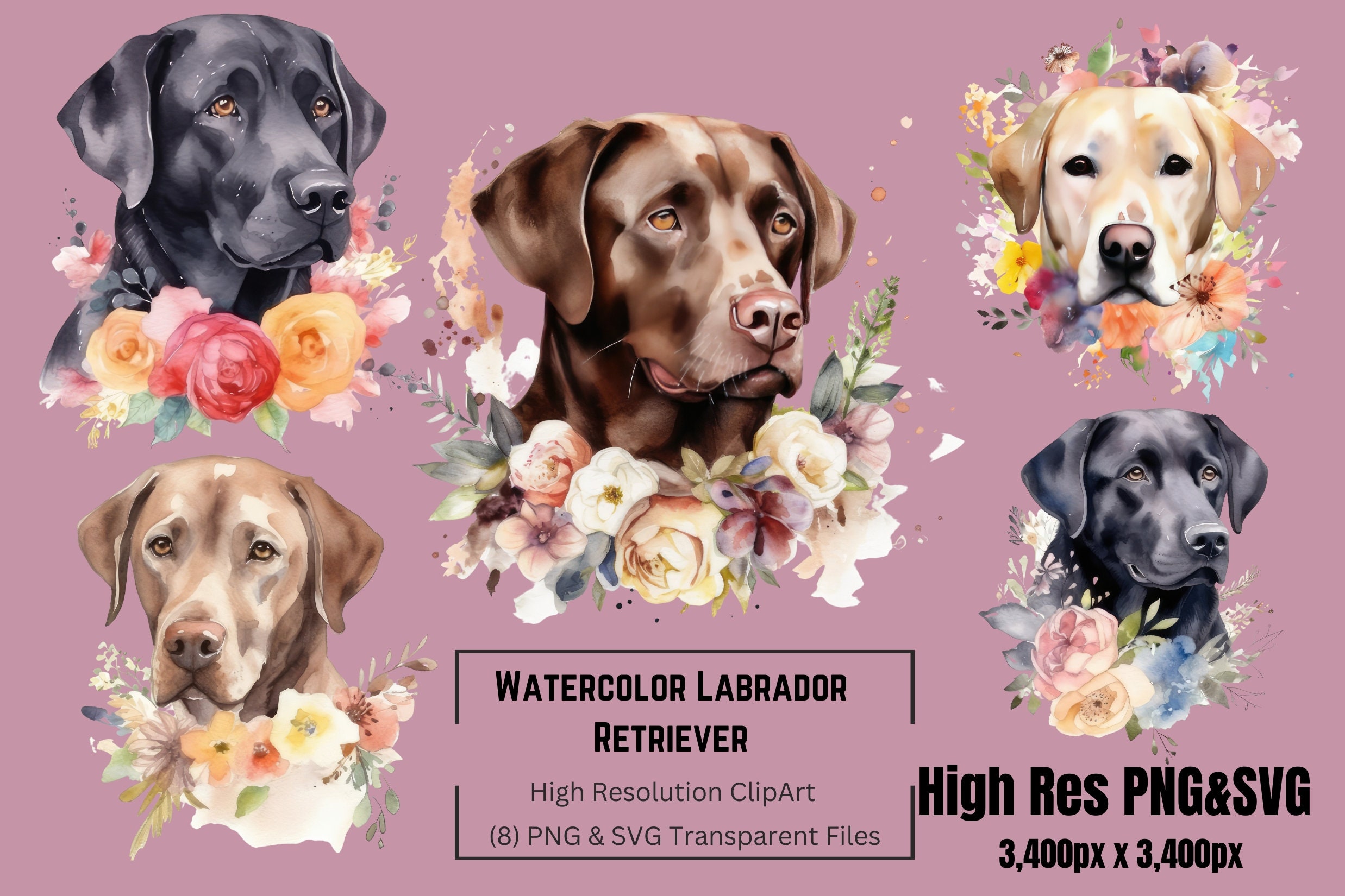 Watercolor Labs Clipart, Labrador Clipart, Labrador SVG, PNG, SVG