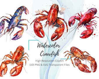 Aquarell Langusten Clipart, Langusten PNG, digitaler Download, Langusten kochen, Langusten Saison, sofortiger Download, Sommer Clipart