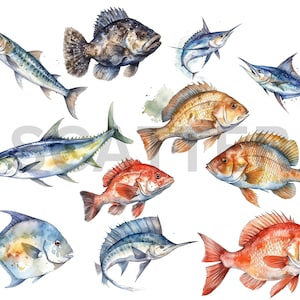 K&ouml;nnte beinhalten: Aquarellmalerei von zehn verschiedenen Fischarten, darunter ein blauer Marlin, ein Rotbarsch, ein Zackenbarsch und ein Mahi-Mahi. Die Fische sind in einem realistischen Stil mit detaillierten Schuppen und Flossen gemalt.