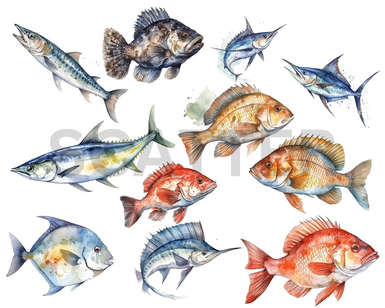 K&ouml;nnte beinhalten: Aquarellmalerei von zehn verschiedenen Fischarten, darunter ein blauer Marlin, ein Rotbarsch, ein Zackenbarsch und ein Mahi-Mahi. Die Fische sind in einem realistischen Stil mit detaillierten Schuppen und Flossen gemalt.