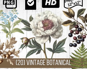 Vintage Botanical Clipart Set | Antique Style Plant Illustrations | 19th-Century Inspired Floral Art | Home Decor & Wall Art Collection