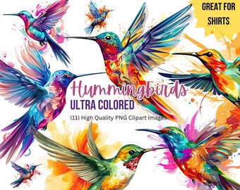 Arte caprichoso del colibrí / Imágenes prediseñadas de aves vibrantes / Ilustración PNG / Descarga instantánea