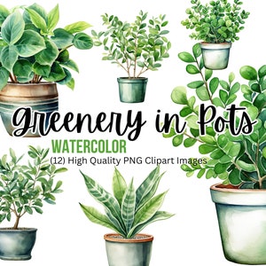 Könnte beinhalten: Aquarell-Illustrationen von 12 verschiedenen Topfpflanzen. Die Pflanzen sind alle grün und haben unterschiedliche Blattformen und -größen. Die Töpfe sind alle in verschiedenen Farben und Stilen gehalten. Der Text "Greenery in Pots Watercolor (12) High Quality PNG Clipart Images" ist in grüner Schrift auf weißem Hintergrund geschrieben.