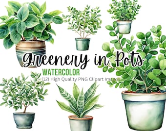 Greenery In Pots Watercolor | Wedding Invitation | Green Foliage Clipart | Potted Tree PNG | Floral Elements