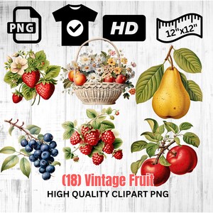Vintage Obst Clipart | Obstkorb Clipart | Obstkunst | Apfel | Pfirsich | Erdbeere | Sofortiger Download