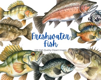 Clipart Fishing Fly Fishing SVG Bass Fishing Clipart Sun Fish Clipart Fathers Day Fishing Clipart