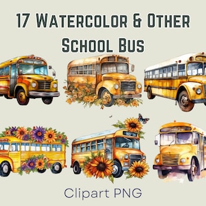 Clipart School Bus PNG School Bus Clipart School Bus Driver Clipart School Bus Driver PNG School Clipart Bus Driver