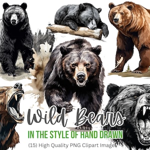 Imágenes Prediseñadas de oso / Oso Grizzly / Oso Negro / Oso Pardo / Imágenes Prediseñadas al aire libre / Imágenes Prediseñadas de caza / PNG / Descarga instantánea