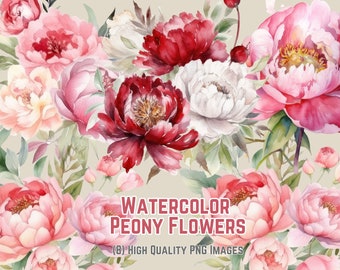 Watercolor Peony Flowers Clipart Flower Pink Peony Floral PNG Floral Flower Clipart Instant Download Peonies PNG Peony Clipart