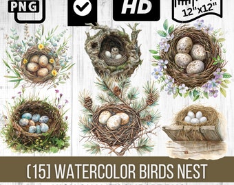 Watercolor Bird Nests and Eggs Clipart Collection | High-Resolution Nature Wildlife Illustrations | Perfect for Crafts