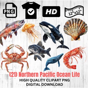 Vida no Oceano Pacífico Norte | Peixe de água salgada | Caranguejo Clipart | Ocra Clipart | Baleia PNG | Lontra Marinha | Download instantâneo