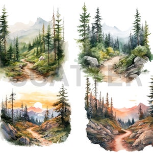 May include: Four watercolour paintings depicting a winding path through a forest. Each painting features a different time of day, with the first showing a bright, sunny day, the second showing a cloudy day, the third showing a sunset, and the fourth showing a sunrise.