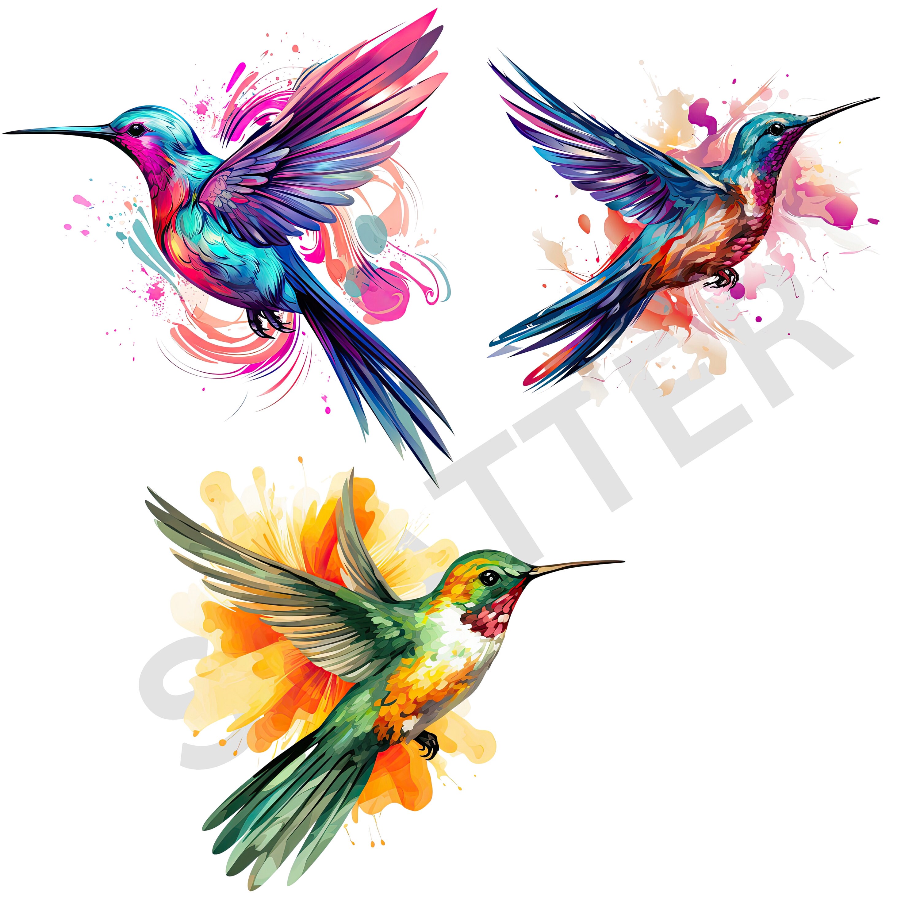 Whimsy Hummingbird Whimsical Hummingbird Art | Vibrant Bird Clipart | PNG Illustration ...