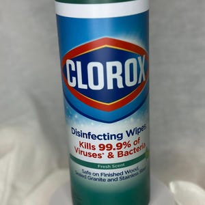 Clorox Tumbler Funny Bridesmaid Groomsman Gag Gift Bleach Novelty Adult Gift Humor