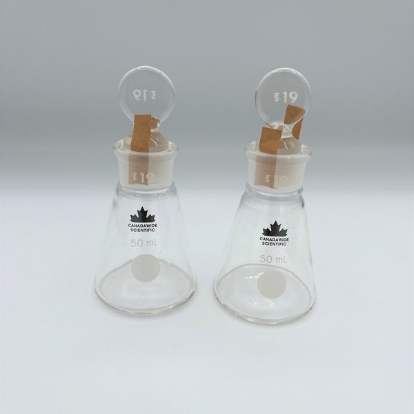 Ensemble de 2 flacons en verre à fond plat vintage, verre de laboratoire, flacon Erlenmeyer, flacon de chimie, verrerie scientifique, décoration de chimie