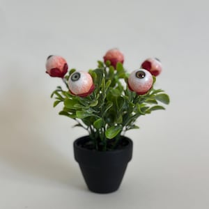 Könnte beinhalten: Eine kleine, schwarze Topfpflanze mit grünen Blättern und mehreren blütenförmigen Augäpfeln. Die Blüten haben eine rote Basis und eine weiße und braune Iris, was eine gruselige Halloween-Dekoration ergibt.