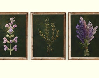 Könnte beinhalten: Drei gerahmte Wandbilder mit botanischen Illustrationen auf dunkelgrünem Hintergrund. Das linke Bild zeigt eine violette Salbeiblüte, das mittlere einen grünen Kräuterzweig und das rechte Bild ein Bündel violetten Lavendels.