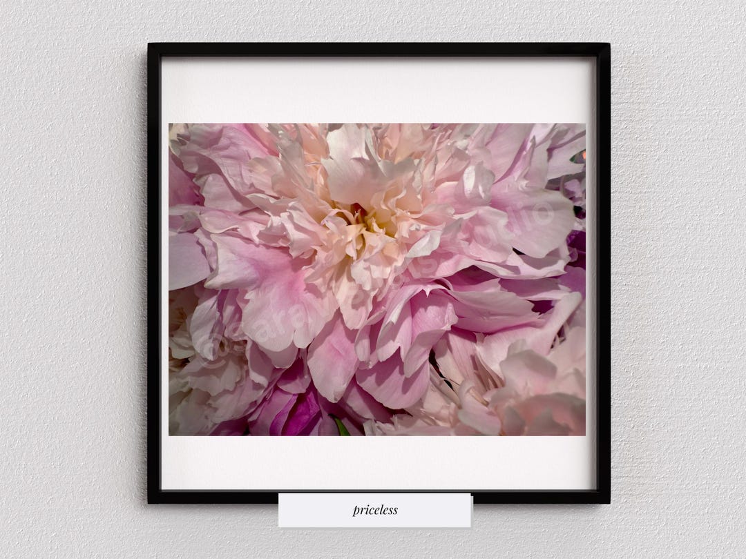 Pink Peony Photo, PRINTABLE Wall Art, Digital Download - Etsy