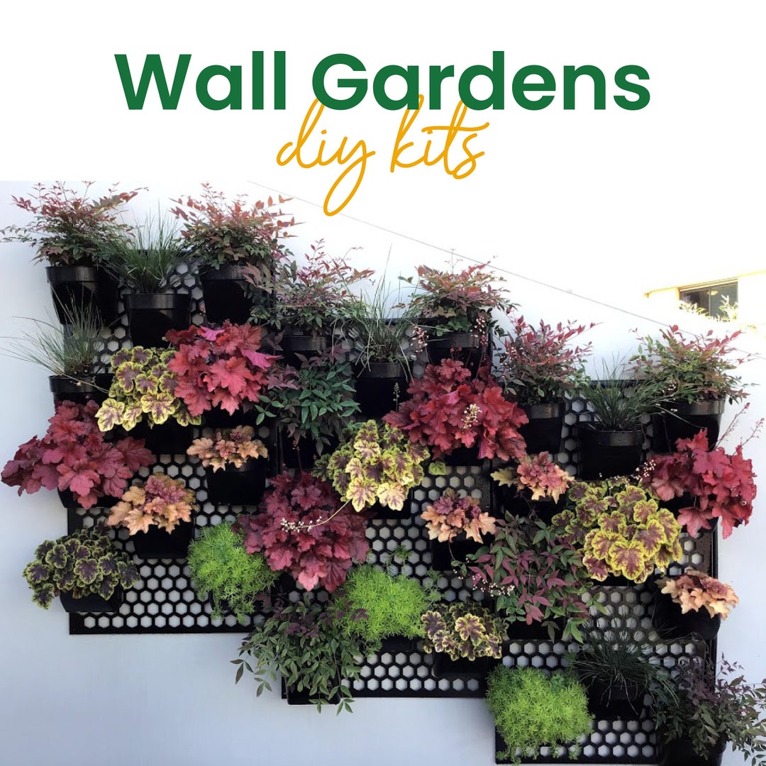Vertical Garden Kitwall Gardenplant Walldiy Kitindoor and Outdoor