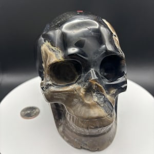 May include: A polished skull sculpture with a mix of black, brown, and tan colors. The skull has detailed features, including eye sockets, a nose cavity, and a full set of teeth. The sculpture is displayed on a white surface.