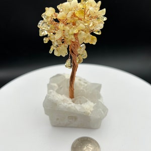 Citrine Tree of Life on Druzy Quartz Base