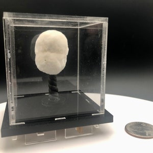 Okenite Snow White Puffball