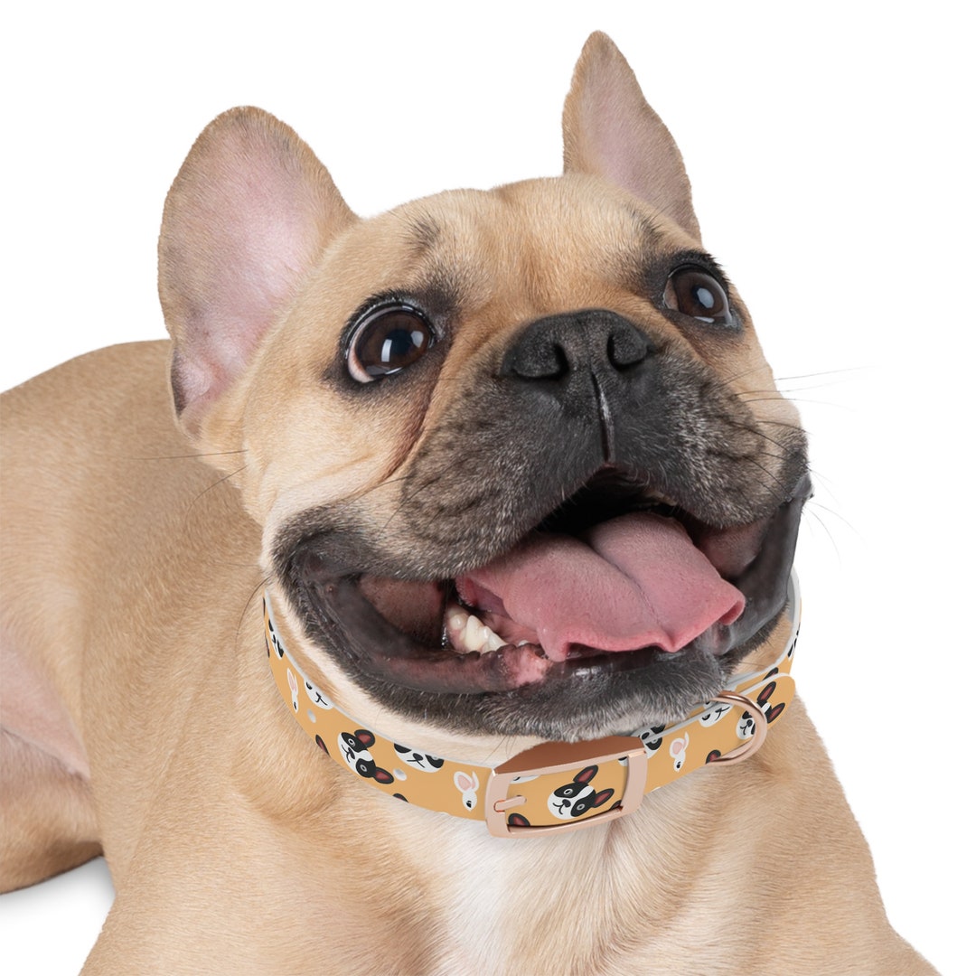 Dog Collars With Frenchie Frenchies Collar Frenchies Dog Etsy