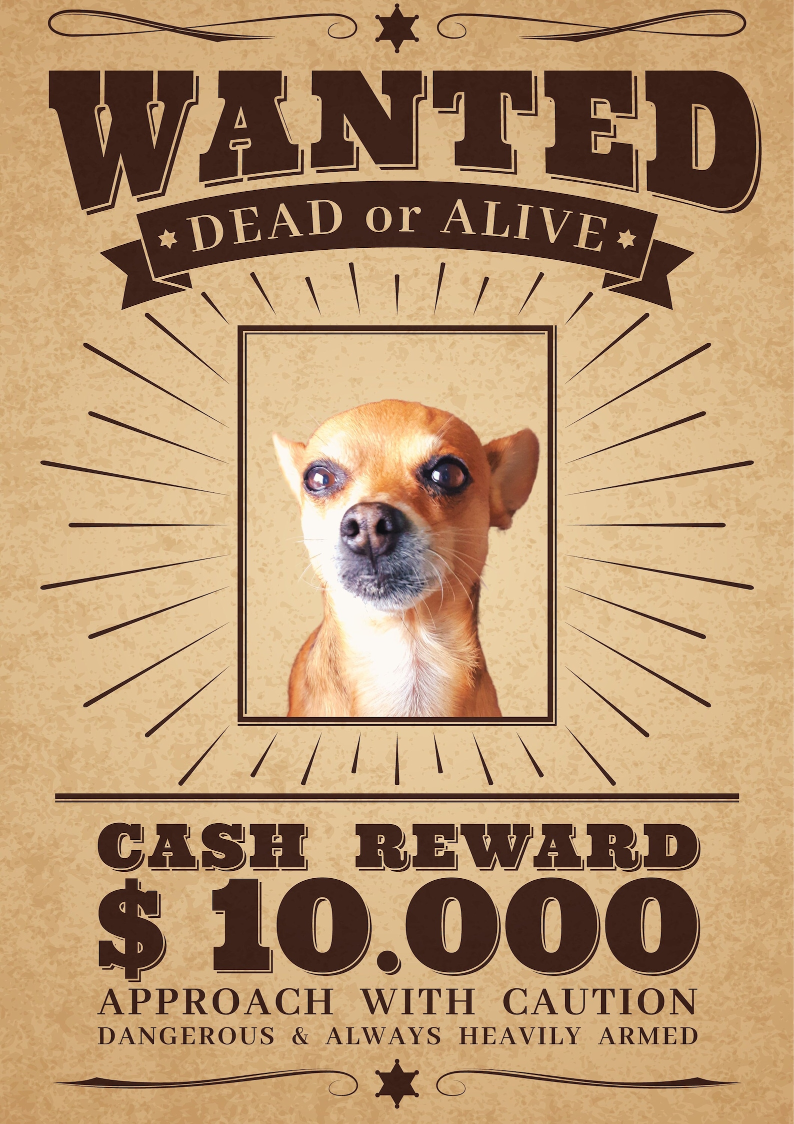 Custom Pet Wanted Poster Dog Dad Gift Birthday Gift Cat Portrait