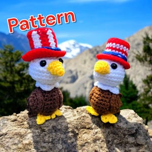 Puede incluir: Dos juguetes amigurumi de águila calva de crochet que llevan sombreros patrióticos rojo, blanco y azul. Las águilas están de pie sobre una roca con una cordillera de montañas en el fondo.