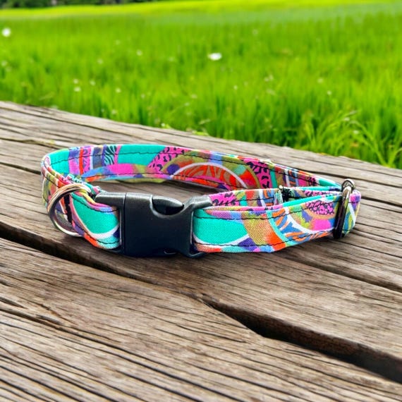 Rainbow Dog Collar: Handmade Pet Accessory - Etsy
