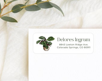 House Plants Return Address Labels, Personalized Self - Adhesive Return Address Stickers, Custom Set of 30 Address Labels