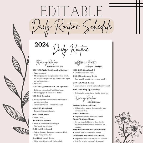 Editable Daily Routine Schedule Template | Daily Planner | Printable Schedule | Work From Home Planner | Hourly Schedule | Work Planner PDF