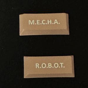 Op de afbeelding: Twee rechthoekige bruine tegels met witte letters. De bovenste tegel heeft de tekst "M.E.C.H.A." en de onderste tegel heeft de tekst "R.O.B.O.T."