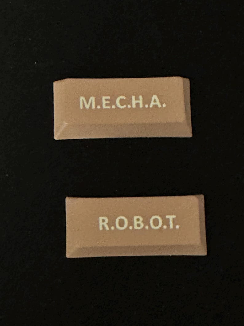 Op de afbeelding: Twee rechthoekige bruine tegels met witte letters. De bovenste tegel heeft de tekst "M.E.C.H.A." en de onderste tegel heeft de tekst "R.O.B.O.T."