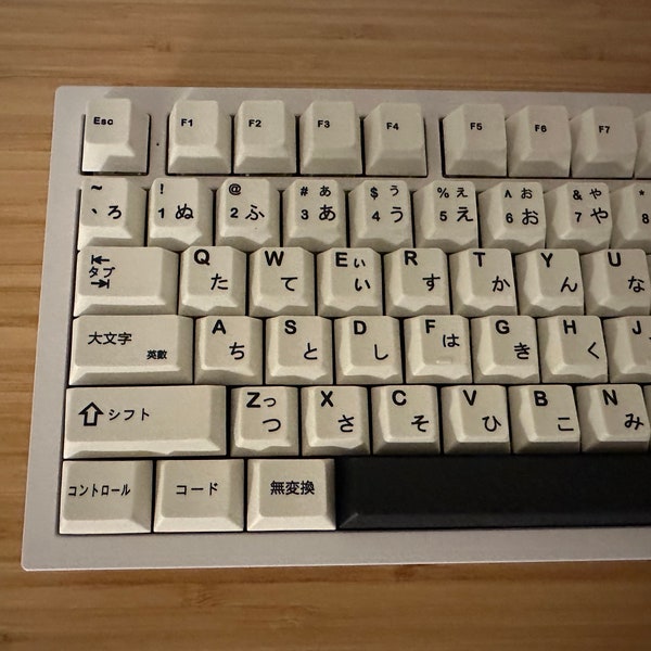 Minimalist Black/White PBT Japanese Keycap Set for Mechanical Gaming Keyboard | 125 keys | Cherry Profile | MX Switch Type | PBT Material