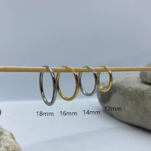Titan Hoop Ohrringe, hypoallergene Silber Huggie Creolen, Gold Huggie Ohrringe, Clicker Hoop Ohrringe