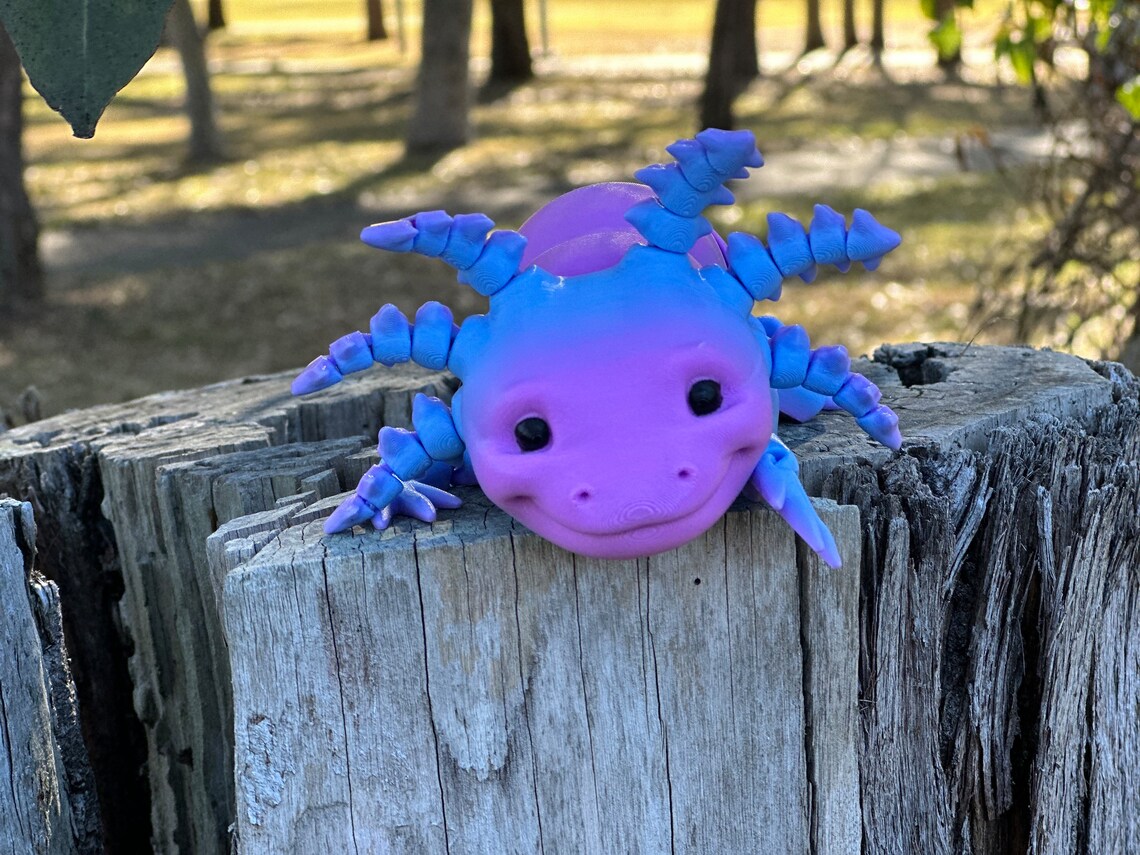 Articulating Axolotl Etsy