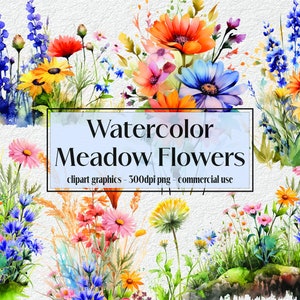 Watercolor Meadow Flowers Clipart Spring Wildflower Floral PNG Format Instant Download for commercial use