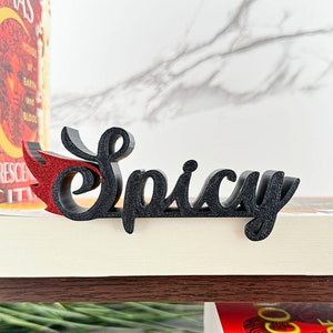 Spicy flame library sign/bookshelf sign
