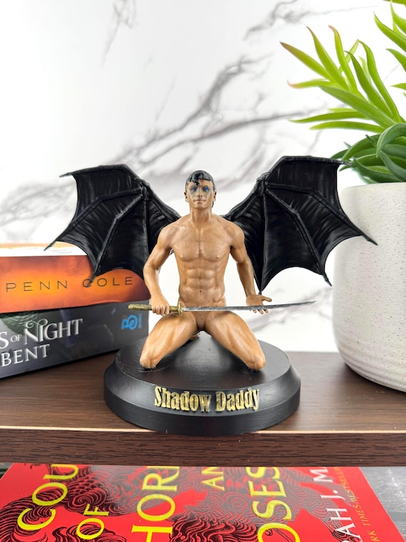 Shadow Daddy Romantasy Bookshelf Decor – Dark Fantasy Book Lover Shelf Accent