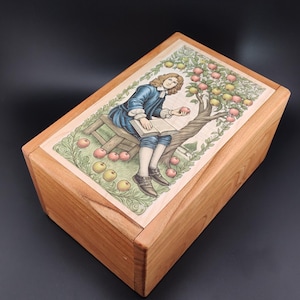Wooden Newton Puzzle Box: Brain Teaser for All Ages