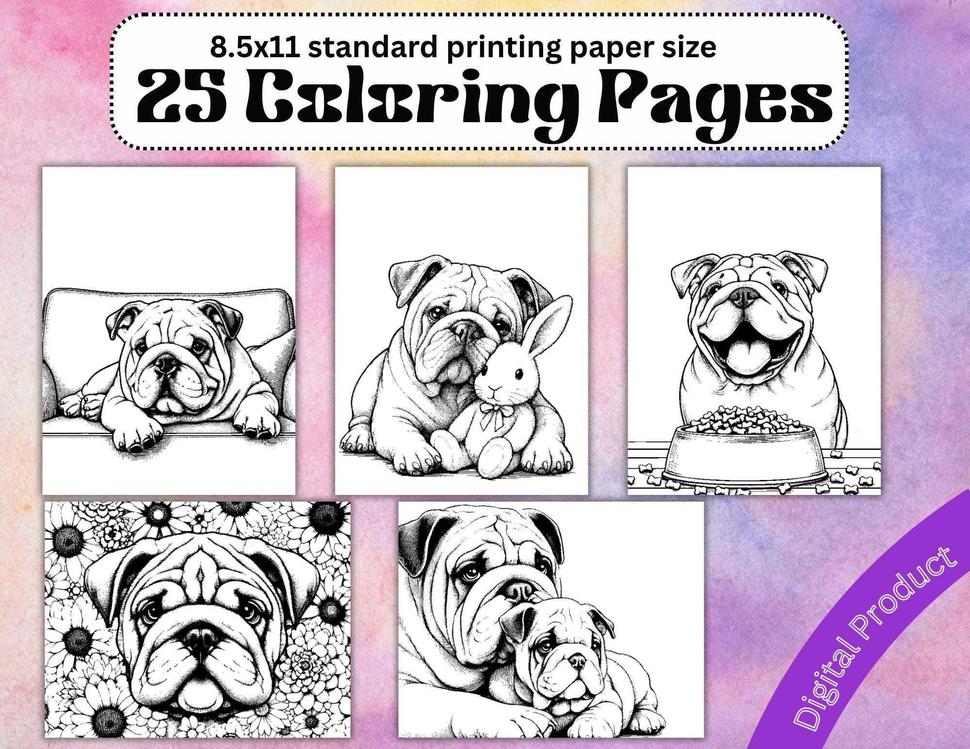 Bulldog coloring - Etsy België, image size:2000x1545
