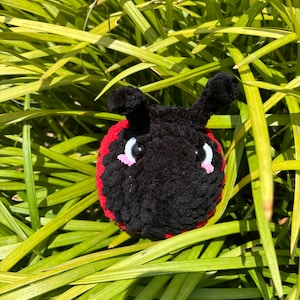 Crochet Ladybug, Gift, Plushie, Stuffed Animal