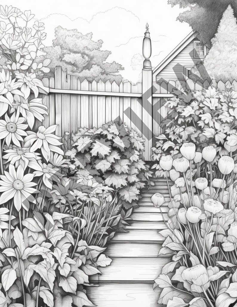May include: A black and white pencil drawing of a garden path leading to a wooden fence. The path is lined with lush greenery and flowers, including large, round poppy-like flowers.
